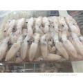 Горячие продажи Детские кальмары высшего класса Loligo Japonica